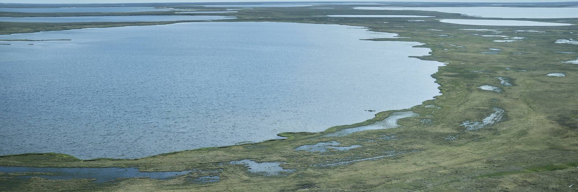 A panorama of the tundra